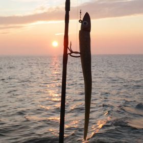 1625x600_TwitcherTitel