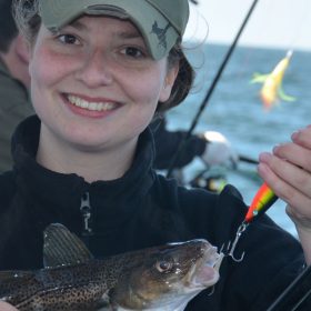 1625x600_WuttkeTitel