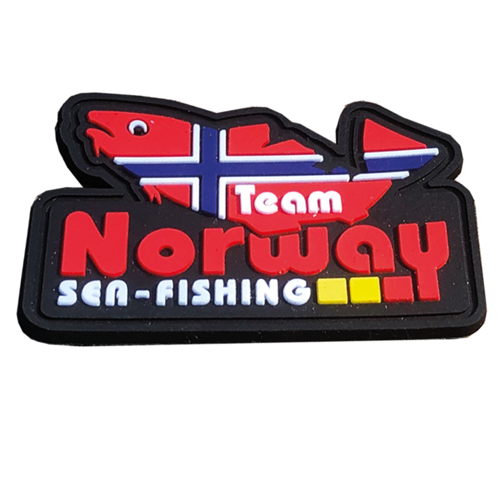 Team Norwegen Patch 16x4cm